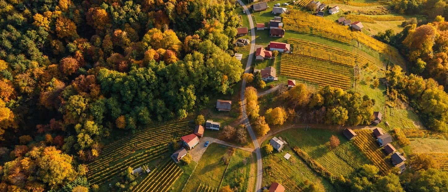 Vineyards, woods and scattered houses of Upper Međimurje from above
