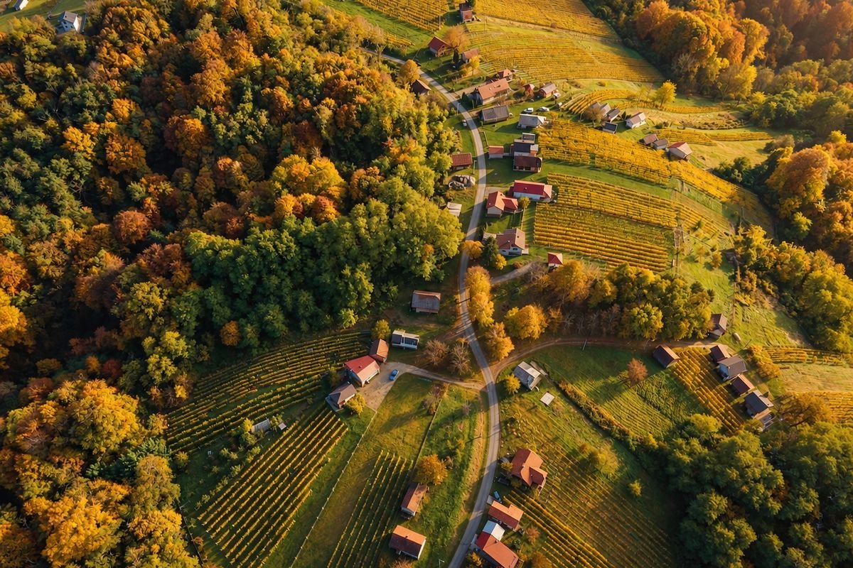 Vineyard terraces and village houses in Upper Međimurje